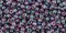 Toho 11/0 Round Japanese Seed Bead, TR11-206, Gold Luster Hydrangea